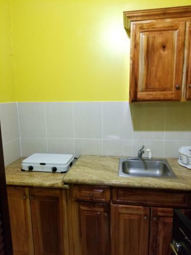 Wizzy Apartment