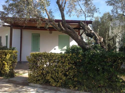 Aparthotel Borgo Degli Ulivi Natural Resort