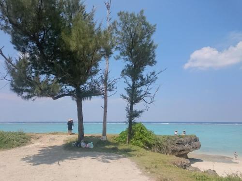 Apartamentos Kaeruya