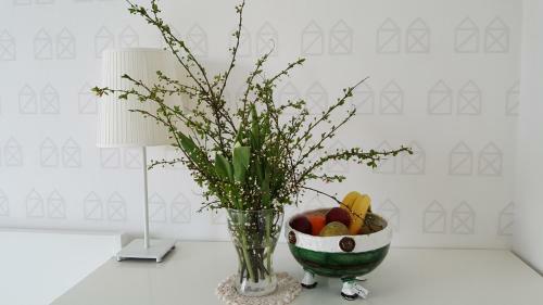 Hostal Sak� Vacation House