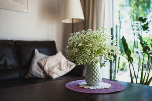 Hostal Sak� Vacation House