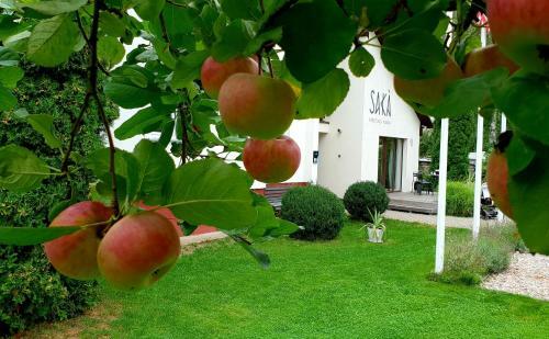Hostal Sak� Vacation House