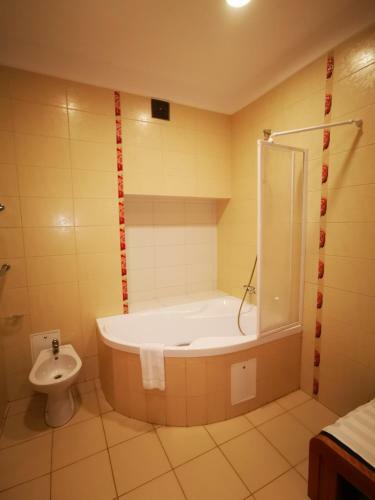 Hotel Auska
