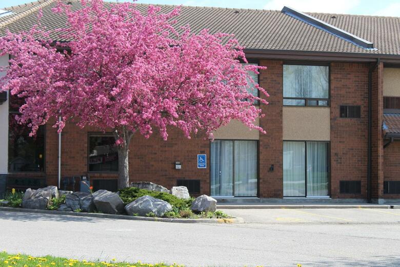 Hotel Comfort Inn
