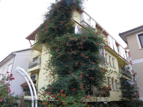 Apartamento Modern Studios In Ohrid