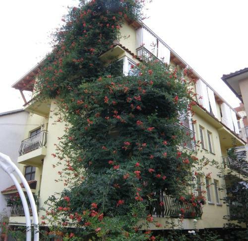 Apartamento Modern Studios In Ohrid