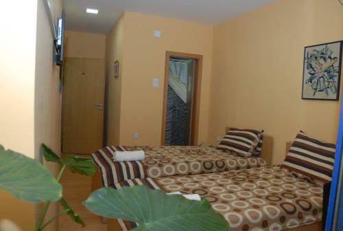Albergue Lido Golden Apartments