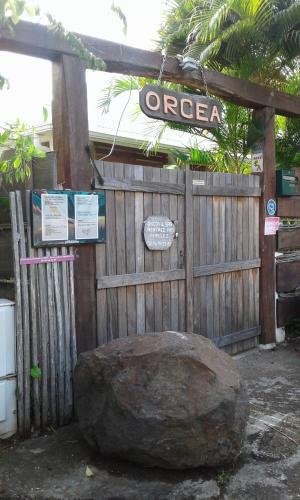 Apartamento Orc�a R�sidence Eco-friendly