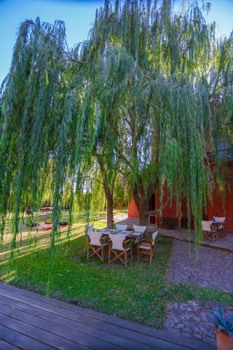 Bed & Breakfast Jnan Lotf