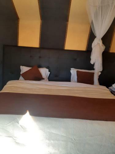 Enjoy Sahara Camp