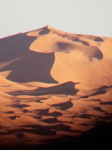 Enjoy Sahara Camp