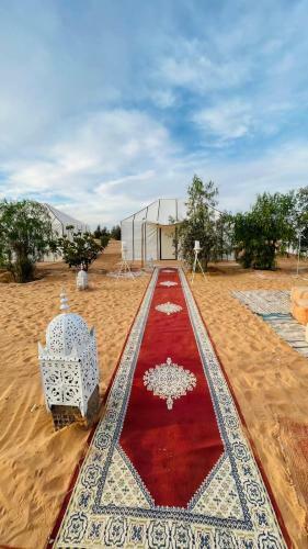 Enjoy Sahara Camp