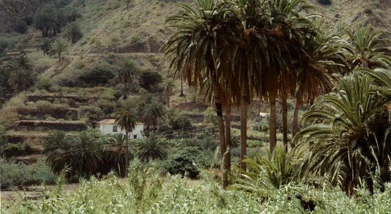 Hotel Finca Pi�ero