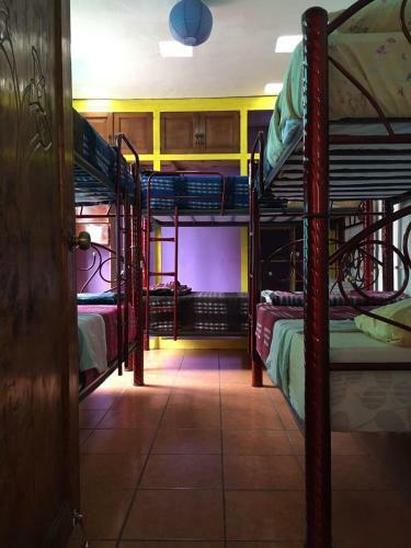 Hostal La Isla