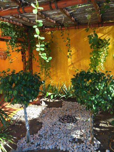 Hostal Leo's Baja Oasis