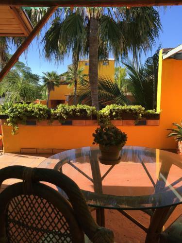 Hostal Leo's Baja Oasis