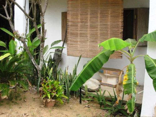 Hostal Los Metates