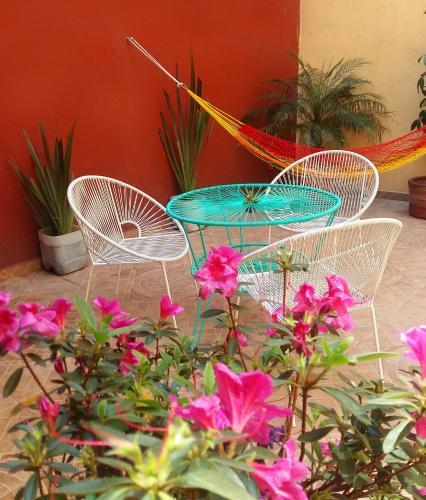 Hostal Centro Historico Oasis