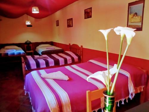 Hostal El Rinc�n De Los Camellos