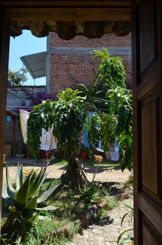 Hostal El Rinc�n De Los Camellos