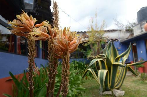 Hostal El Rinc�n De Los Camellos