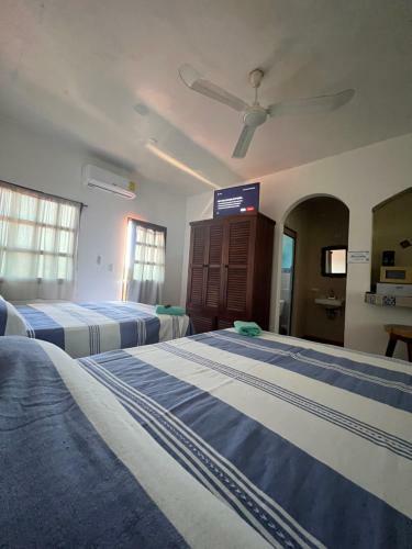 Hotel Casa Terranova