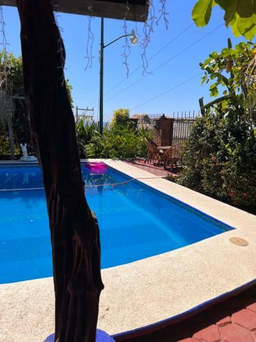 Hotel Casa Terranova