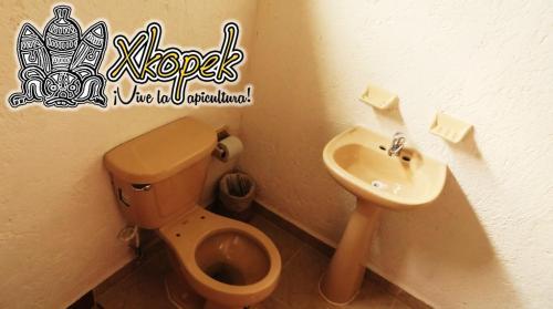 Xkopek Camping