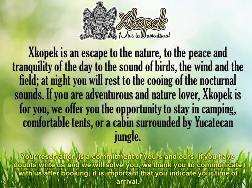 Xkopek Camping
