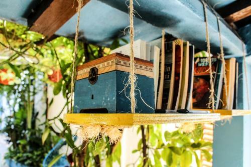 Vainilla Bed An Breakfast Mexico