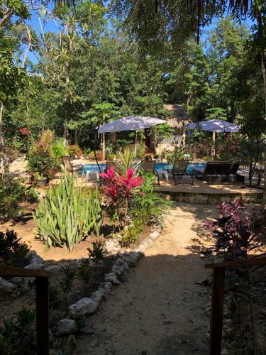Bed & Breakfast Maya Eco Village