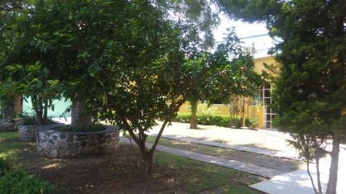 Hotel Elohim