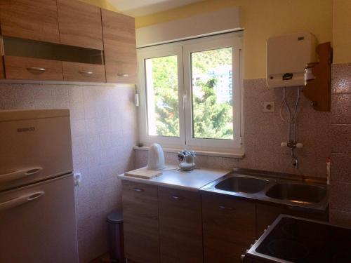 Apartment Rade