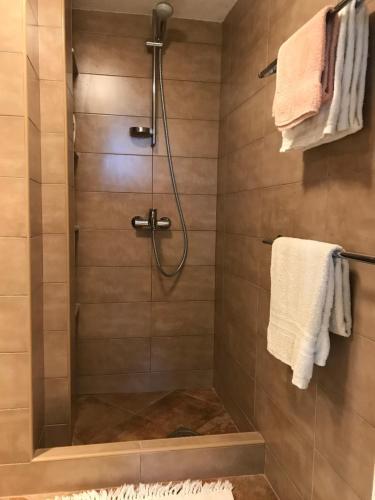 Apartamento Ecohouse Risan Studio