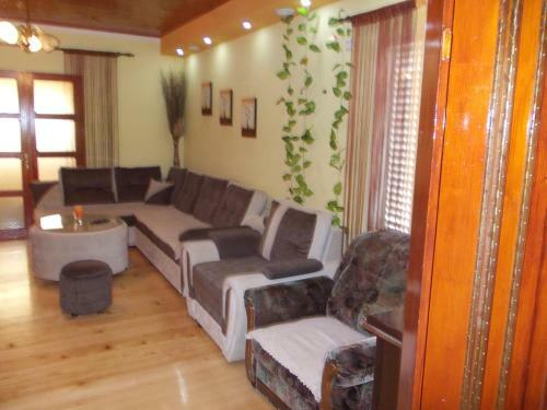 Apartment Jelaca