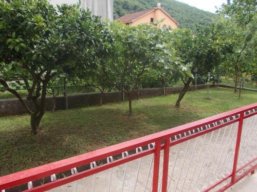 Apartment Jelaca