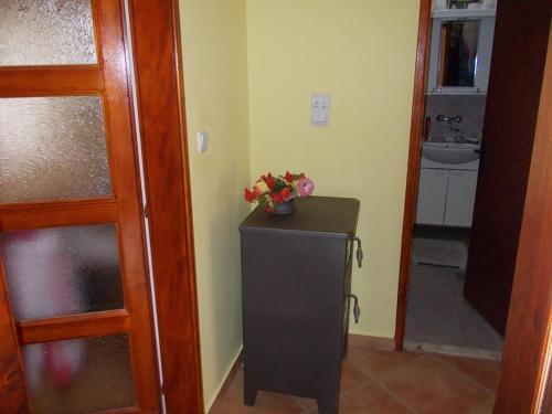 Apartment Jelaca
