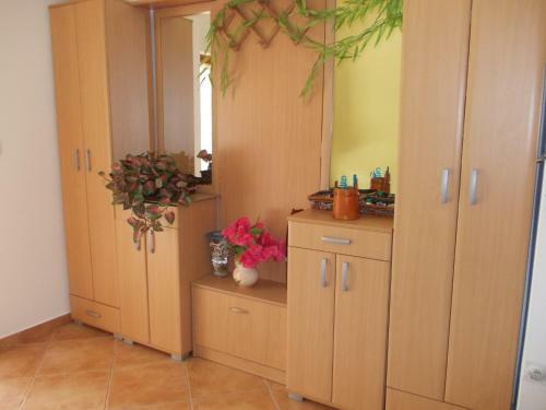 Apartment Jelaca