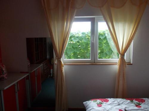 Apartment Jelaca