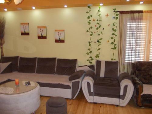 Apartment Jelaca