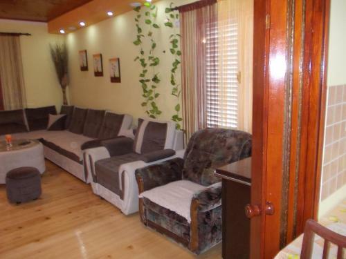 Apartment Jelaca