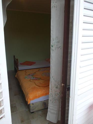Apartment Jelaca