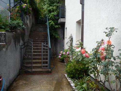 Apartments Danilo
