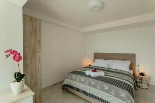 Apartments Belvedere