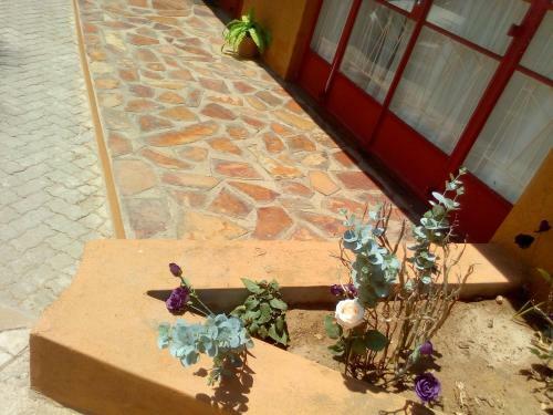 Hostal Yoye Guesthouse