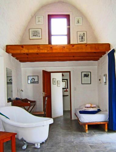 Bed & Breakfast Alternative Space B & B