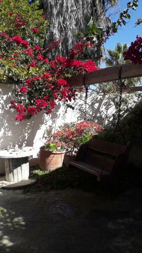 Bed & Breakfast Alternative Space B & B