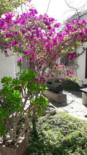 Bed & Breakfast Alternative Space B & B