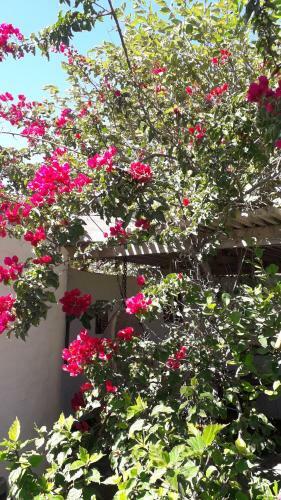 Bed & Breakfast Alternative Space B & B
