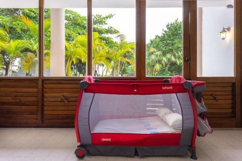 Homing Bird Casa Matuk